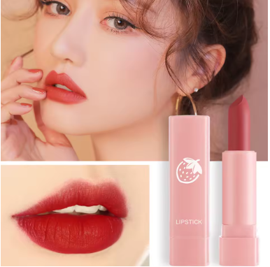 10 matte pcs lipstick set
