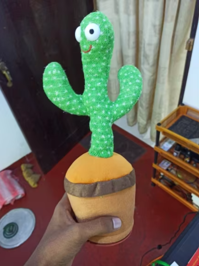 Cactus Toy