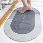 Water Absorber Home Mat