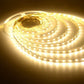LED Warm Strip Light