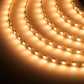 LED Warm Strip Light