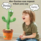 Cactus Toy