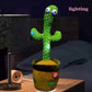 Cactus Toy