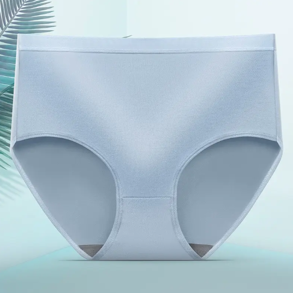 Comfortable Seamless Plus Size Women’s Panties – Mid Waist Hip Lifting Briefs for Everyday Wear